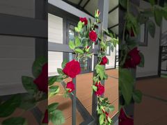 Casa dobrável com dossel de 20 pés